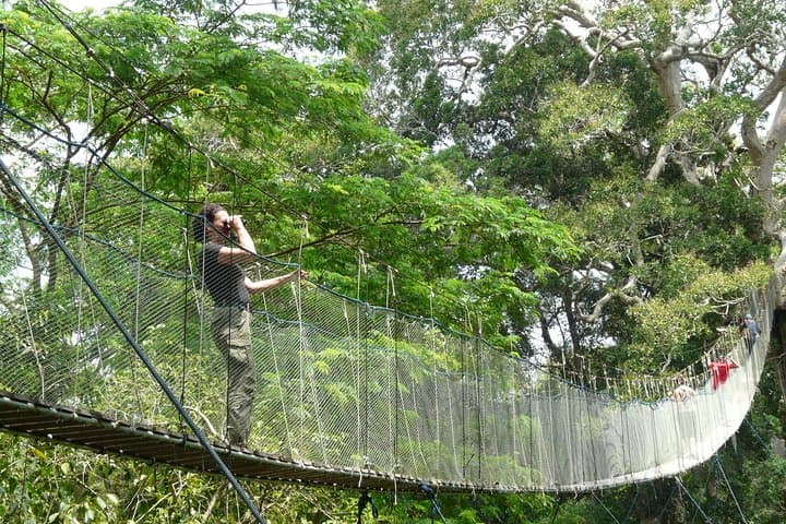 Eco Jungle 3-Day Tambopata Expedition: Sandoval Lake, Canopy Walk & Wildlife Viewing