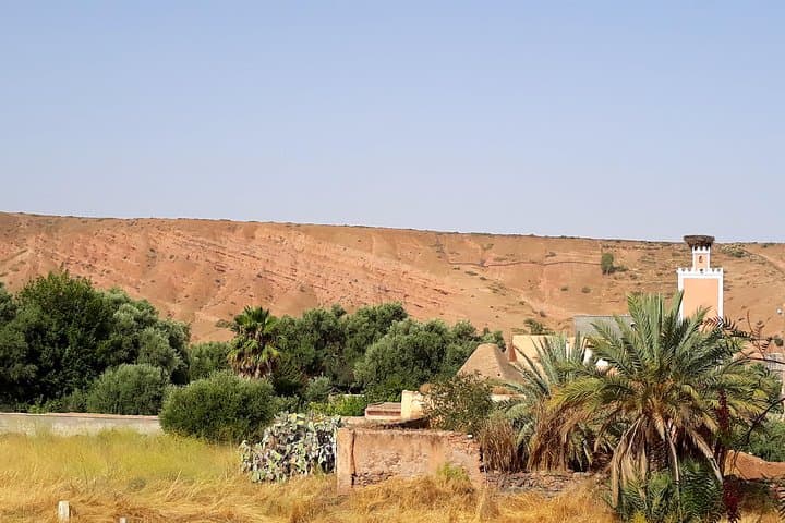 Atlas Mountains Day Trip from Marrakech: Berber Village, Argan Cooperative & Family Lunch photo 6