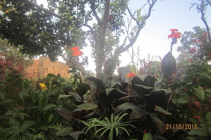 Day Trip to Rabat from Casablanca Port — Hassan Tower, Chellah & Kasbah of the Oudayas photo 5