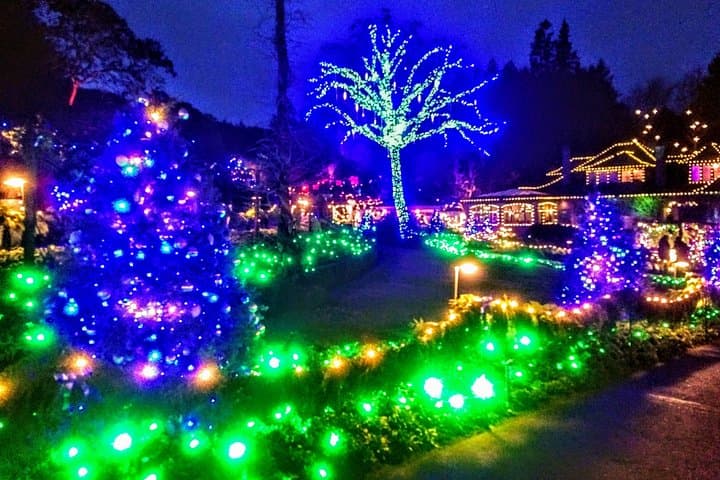 Christmas Lights Tour — Butchart Gardens & Victoria Holiday Lights photo 3