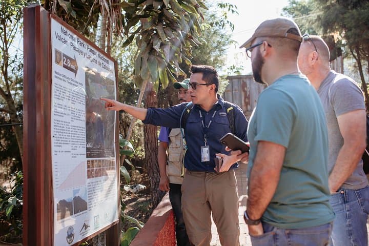 Climb Pacaya Volcano from Guatemala City: Shared Guided Hike to the Summit photo 4