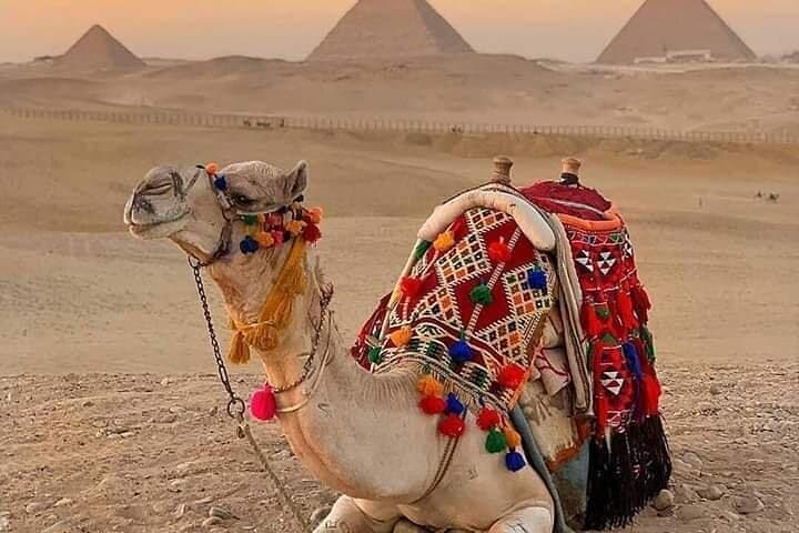 Sunset Camel Ride at the Giza Pyramids: A Practical Guide photo 5