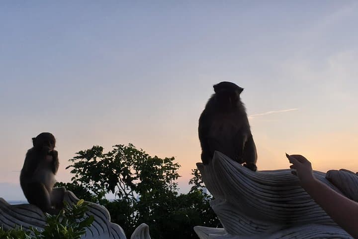 Da Nang Marble Mountains, Monkey Mountain & Hai Van Pass: Coastal Day Tour photo 4