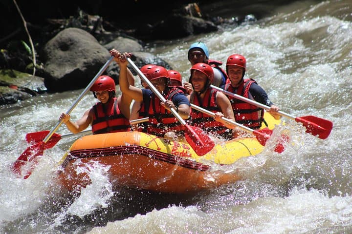 Ayung River White-Water Rafting from Ubud: Half-Day Rapids, Waterfalls & Jungle Views
