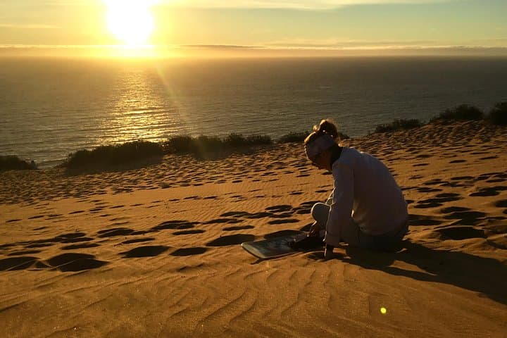 Valparaiso Penguin Boat Trip, Concon Sandboarding & Paragliding Day Tour photo 6