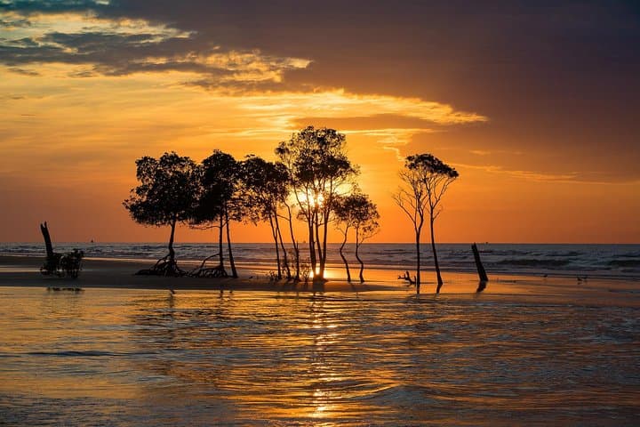Darwin Self-Guided Audio Tour: Walk WWII Sites, Waterfront & Markets