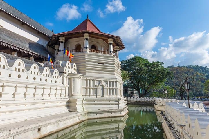 Adventurous East: 12-Day Sri Lanka Cultural, Wildlife & Coastal Tour photo 6