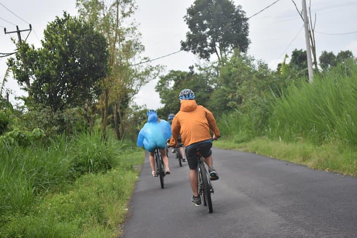 Tegalalang to Ubud: Bali Countryside Cycling & Optional River Tubing photo 4