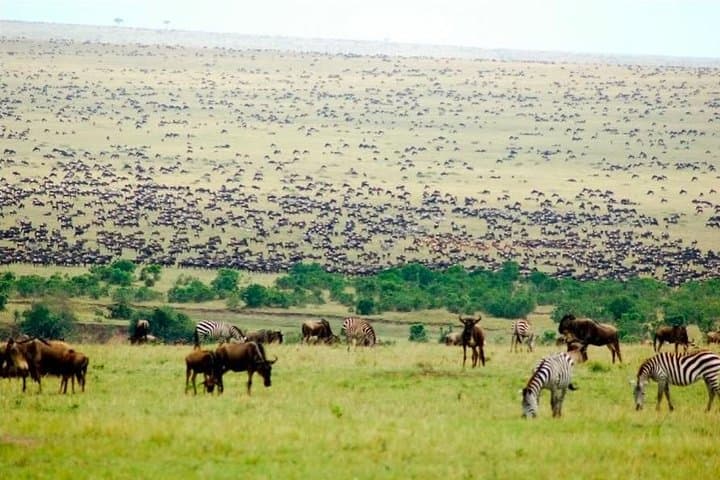4-Day Budget Safari in Maasai Mara, Lake Naivasha & Hell's Gate photo 5
