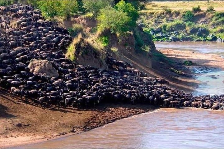 4-Day Budget Safari in Maasai Mara, Lake Naivasha & Hell's Gate photo 6
