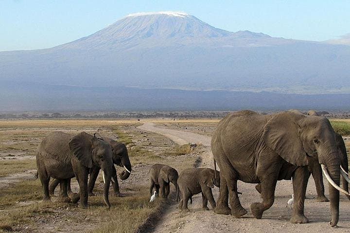 Masai Mara Wildebeest Migration: 8-Day Safari from Nairobi photo 2