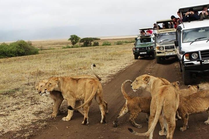 Ultimate 8-Day Kenya Flying Safari — Chyulu, Laikipia & Maasai Mara photo 2