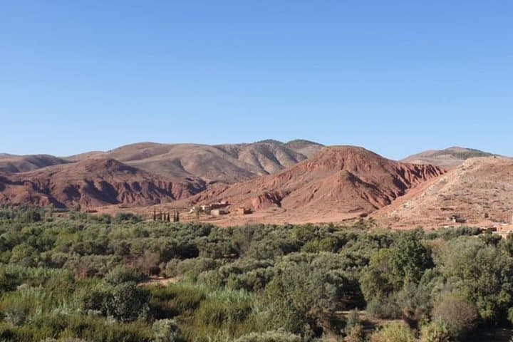 Agafay Desert & Atlas Day Trip from Marrakech: 4WD, Camel Ride & Imlil Hike