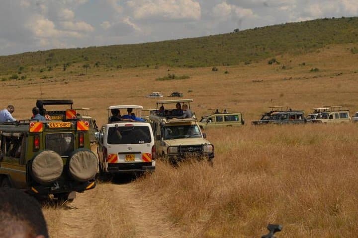 3-Day Private Masai Mara Lodge Safari — Big Five, Mara River & Lodge Stays photo 3