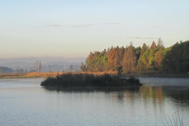 Birdwatching Day Trip from Bogotá: Florida Wetland, El Tabacal Lagoon & Enchanted Garden photo 1