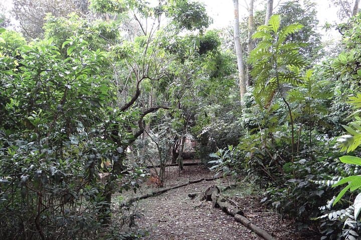 Birdwatching Day Trip from Bogotá: Florida Wetland, El Tabacal Lagoon & Enchanted Garden photo 3