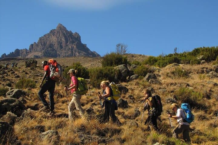 Climb Mount Kilimanjaro: Marangu Route 6-Day Guide photo 2