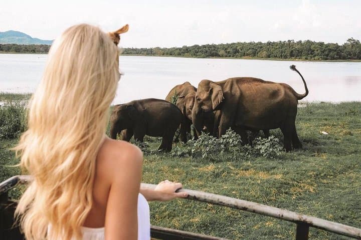 Private Wilpattu National Park Safari Day Trip from Colombo photo 4