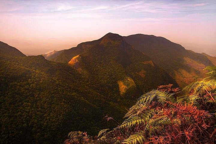 Horton Plains National Park: World's End Hike from Nuwara Eliya photo 3