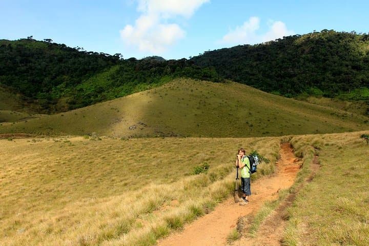 Ella to Horton Plains: Scenic Train, Plateau Hike & World's End Day Trip photo 5