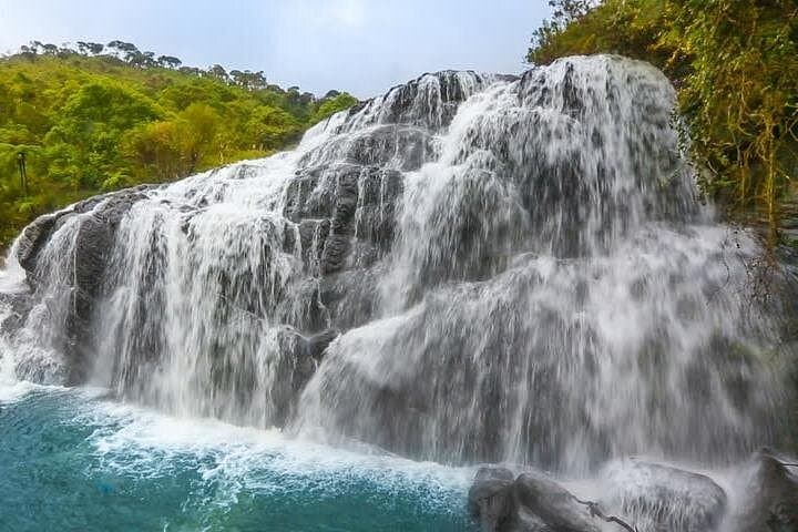 Horton Plains National Park: World's End Hike from Nuwara Eliya photo 6