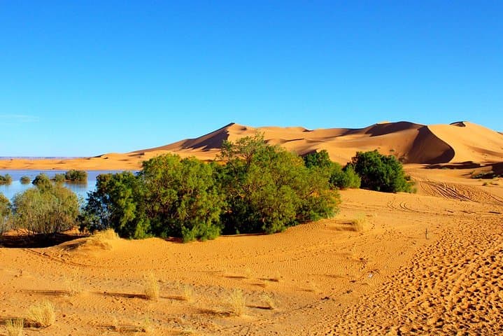 2-Day Marrakech to Merzouga Sahara Overnight: Camel Trek & Erg Chebbi Dunes photo 3