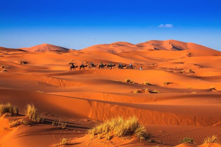 2-Day Marrakech to Merzouga Sahara Overnight: Camel Trek & Erg Chebbi Dunes