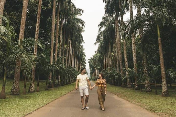 Highlights of Sri Lanka: 7-Day Cultural, Wildlife & Coastal Tour photo 2