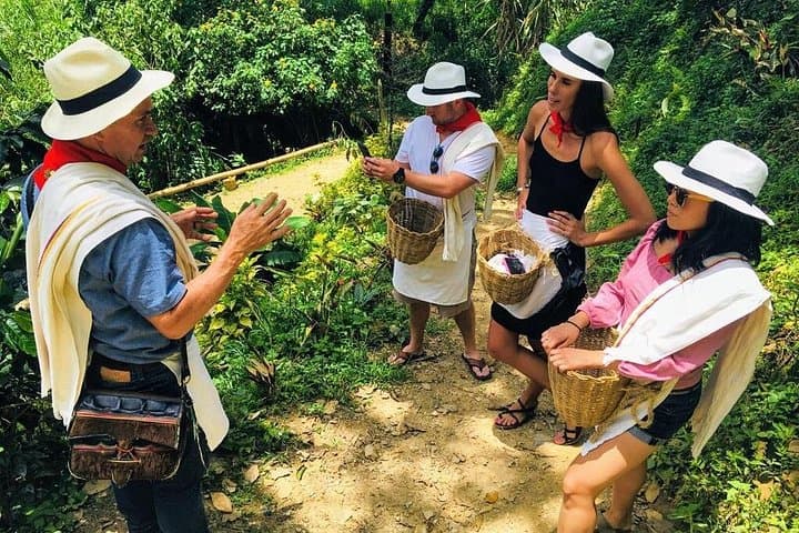 Antioquia Coffee Farm Tour from Medellín — Plantation Walk & Tasting photo 2