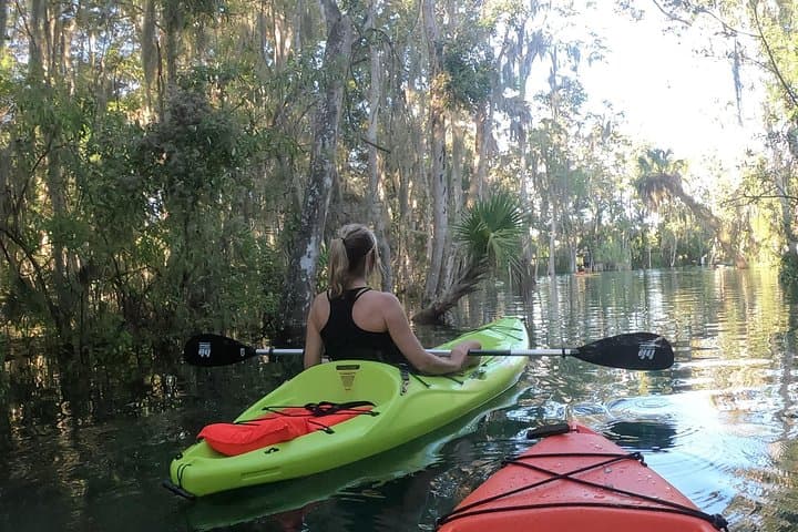 Crystal River Kayak Rental: 4-Hour Single Kayak with Manatee Viewing photo 6