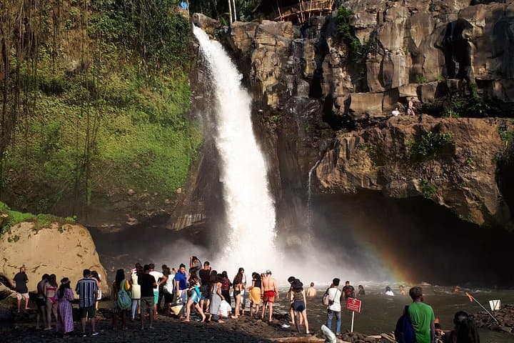 Ubud Monkey Forest and Waterfall Private Day Trip — Monkeys, Temples & Ubud Art Villages photo 2
