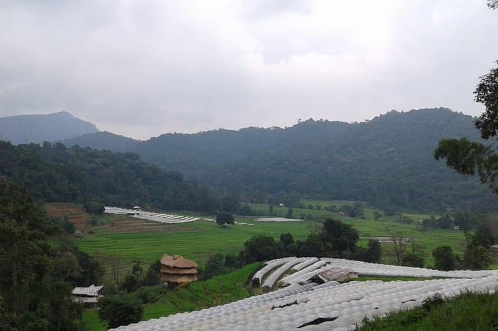 Doi Inthanon Day Tour: Summit Views, Twin Pagodas & Waterfalls from Chiang Mai photo 5