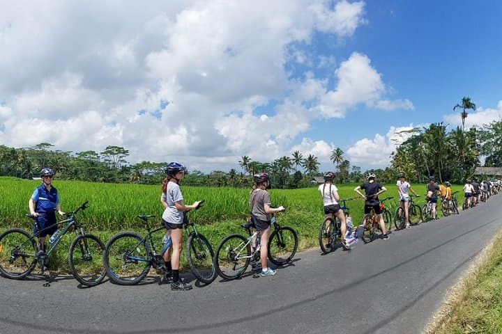 Morning Kintamani Cycling Tour: Ubud Countryside, Waterfalls & Coffee