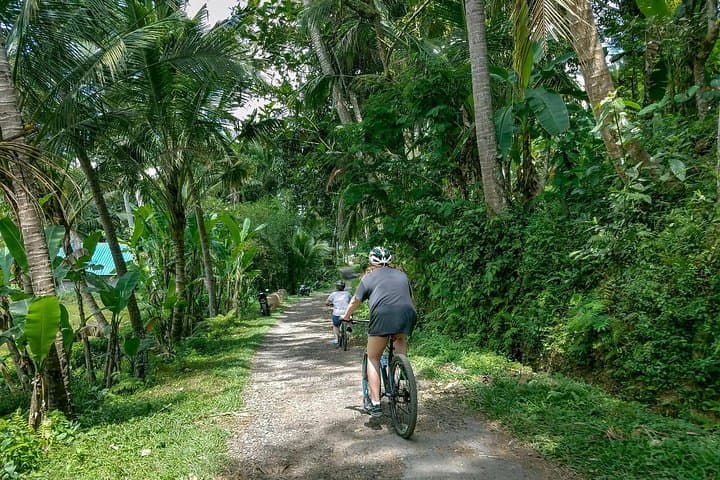 Morning Kintamani Cycling Tour: Ubud Countryside, Waterfalls & Coffee photo 5