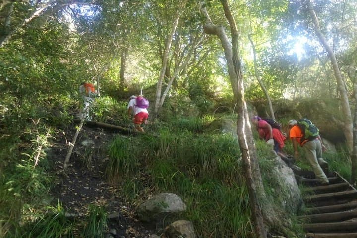 Nursery Ravine Hike — Shaded Route to Table Mountain's Summit Reservoirs