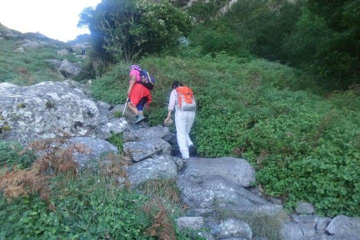 Nursery Ravine Hike — Shaded Route to Table Mountain's Summit Reservoirs photo 3