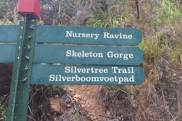 Nursery Ravine Hike — Shaded Route to Table Mountain's Summit Reservoirs photo 2
