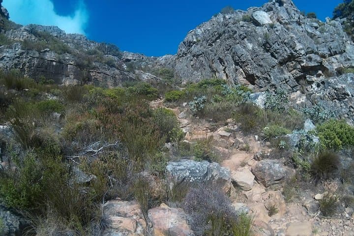 Indian Venster Table Mountain Scramble — Route Guide, Tips & Cable Car Descent photo 5