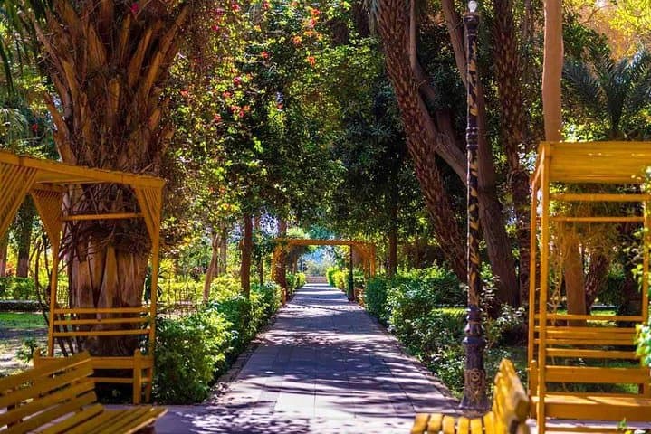 Felucca to Kitchener Island: Aswan Botanical Gardens Day Sail photo 4