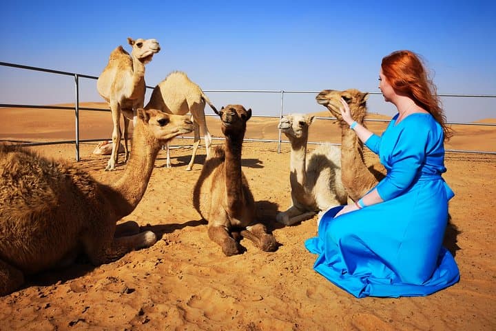 Evening Desert Buggy Ride, Sandboarding & BBQ Camp Near Dubai photo 2