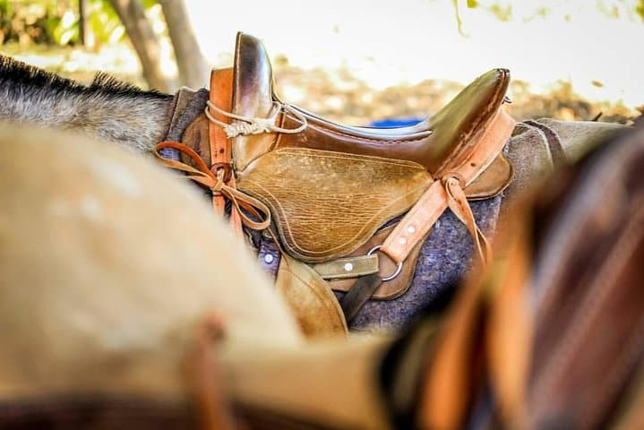 Jaco Combo: Waterfall Rappel, Jungle Horseback & Zipline at El Encanto photo 5