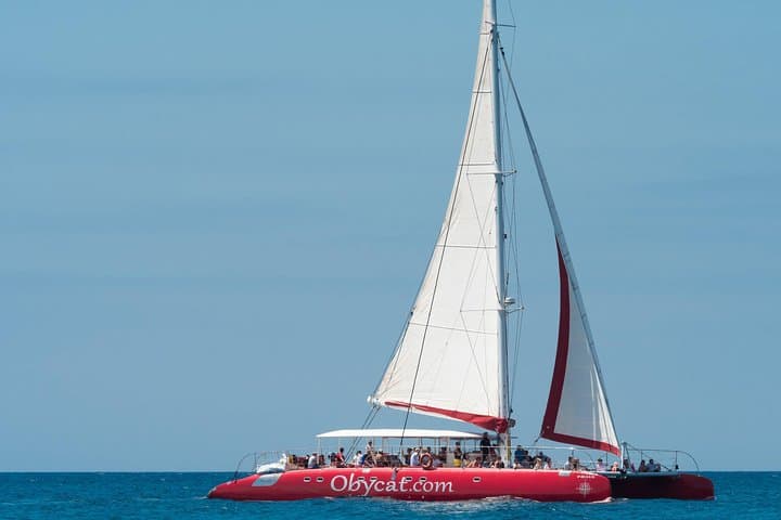 OBYCAT Catamaran Experience: Half-Day Sailing & Snorkeling from Caleta de Fuste photo 4