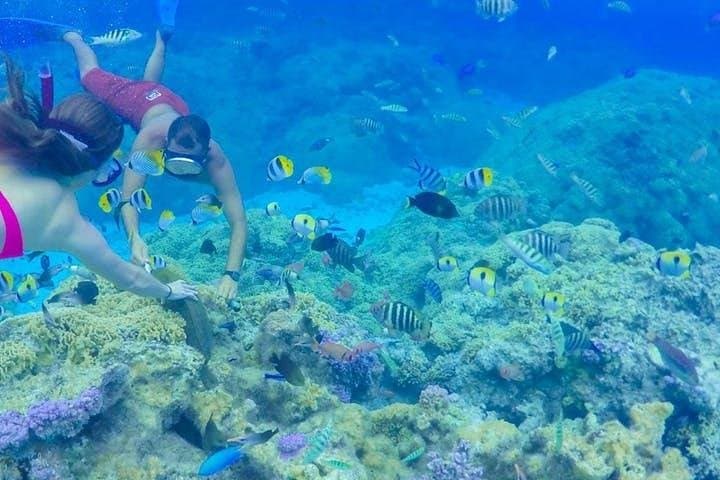 Full-Day Bora Bora Lagoon Cruise: Snorkel with Sharks & Stingrays photo 2