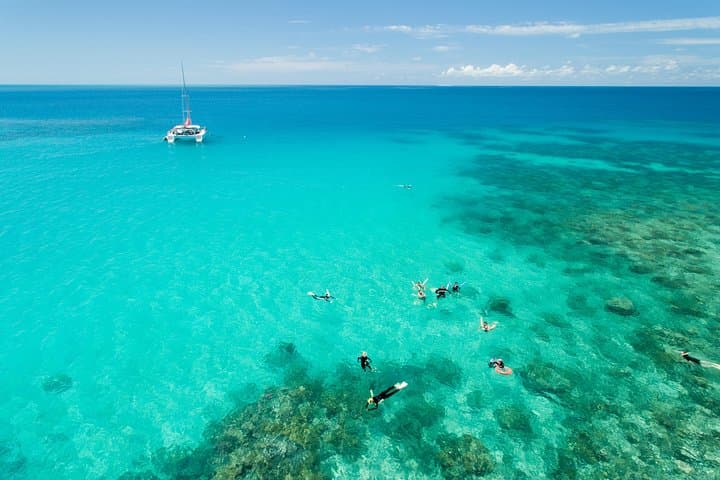 Sail to Upolu Reef: Full-Day Great Barrier Reef Snorkel Adventure from Cairns photo 3