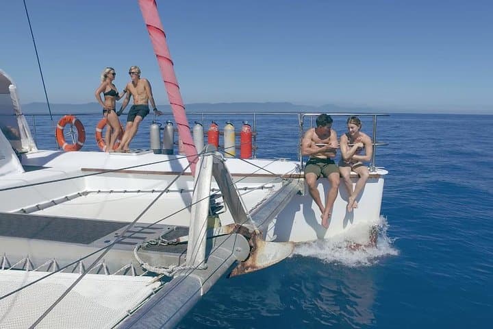 Sail to Upolu Reef: Full-Day Great Barrier Reef Snorkel Adventure from Cairns photo 1
