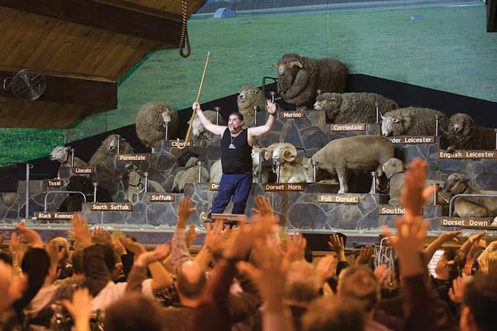 Agrodome Rotorua: Sheep Show, Farm Tour & All‑Terrain Farm Experience photo 3