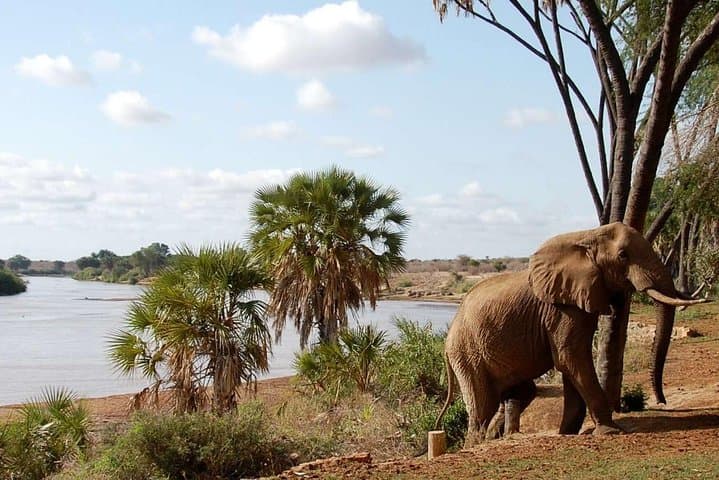 5-Day Big Five Safari from Nairobi: Maasai Mara, Lake Nakuru & Hell's Gate photo 5