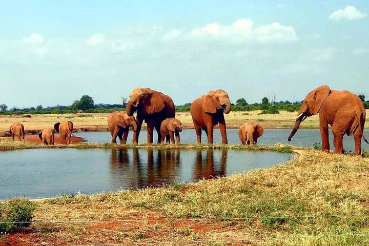 5-Day Kenya Safari — Tsavo East & West, Amboseli and Taita Hills