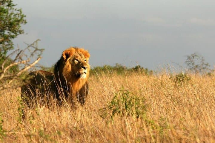 5-Day Kenya Safari — Tsavo East & West, Amboseli and Taita Hills photo 3