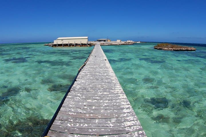 Abrolhos Islands 5-Day Expedition Cruise from Geraldton photo 3